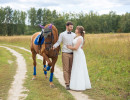 свадебная фотосессия с лошадьми
