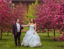 Жених и невеста на свадебной прогулки в парке Коломенское на фоне цветущей яблони